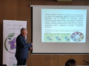 Проф. др Слободан Миленковић